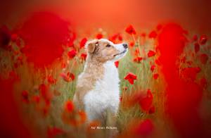 Alena GUIGNABODET - NA MOON PICTURES